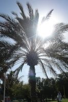 Il faut chaudddddddddddddddddd!