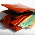 PORTEFEUILLE MAGIQUE MAGNÉTISÉ POUR LA RICHESSE ET LA PROSPÉRITÉ