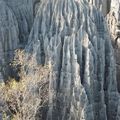 Un des plus beaux karsts tropicaux du monde, le lapiaz des Tsingy de Bemaraha, Madagascar