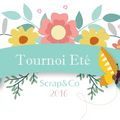 Tournoi de l'Eté 2016, vous êtes prêtes ???!!