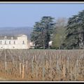 Meursault et Petites Aumônières aux Pommes...