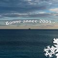 Bonne année 2009 !