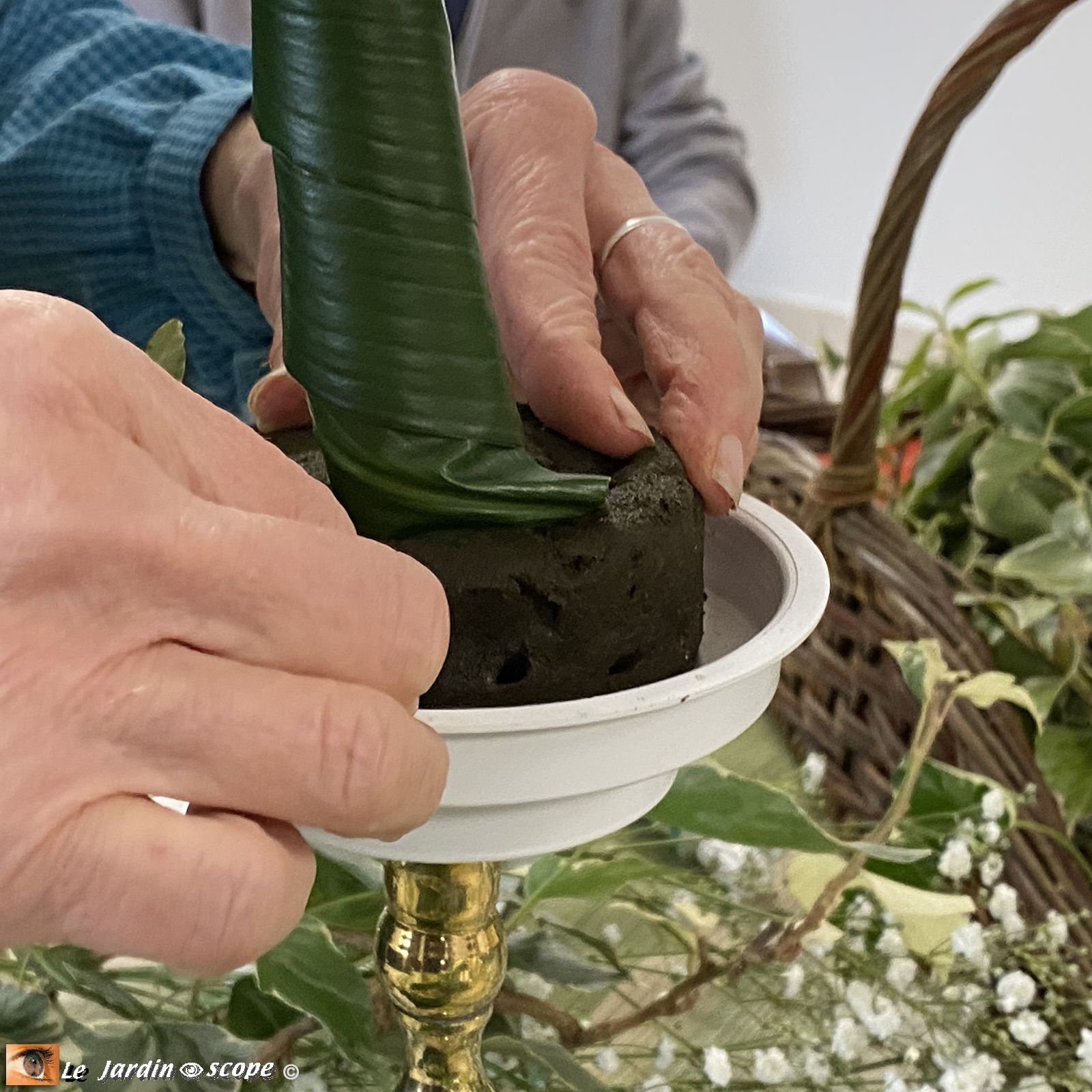 Une feuille d'aspidistra entoure comme un cornet la base de la bougie