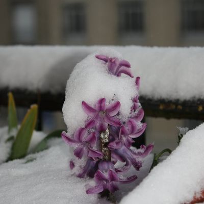 Silence........ On Pousse........