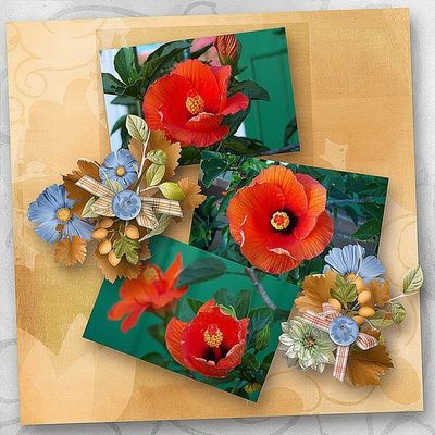 "Floral Inspirations"