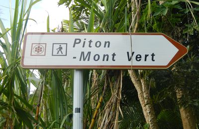 Balade au Piton Mont Vert