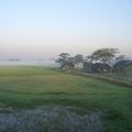 Vue du train Yangon --> Bago