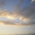 Délire Nawakitique - Houat Sky
