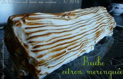 Premiers essais de buche de Noël : citron meringuée