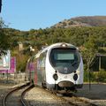 Regain de succès pour les Chemins de fer de la Corse