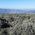 deuxième jour dans les gorges de l'ardèche