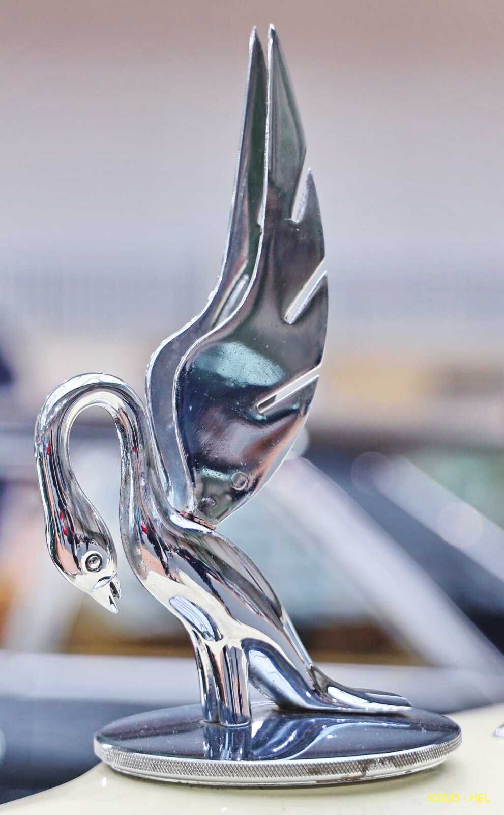 Mascotte PACKARD_01 HL_GF