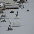 Photo de la neige janvier 2012 Genève