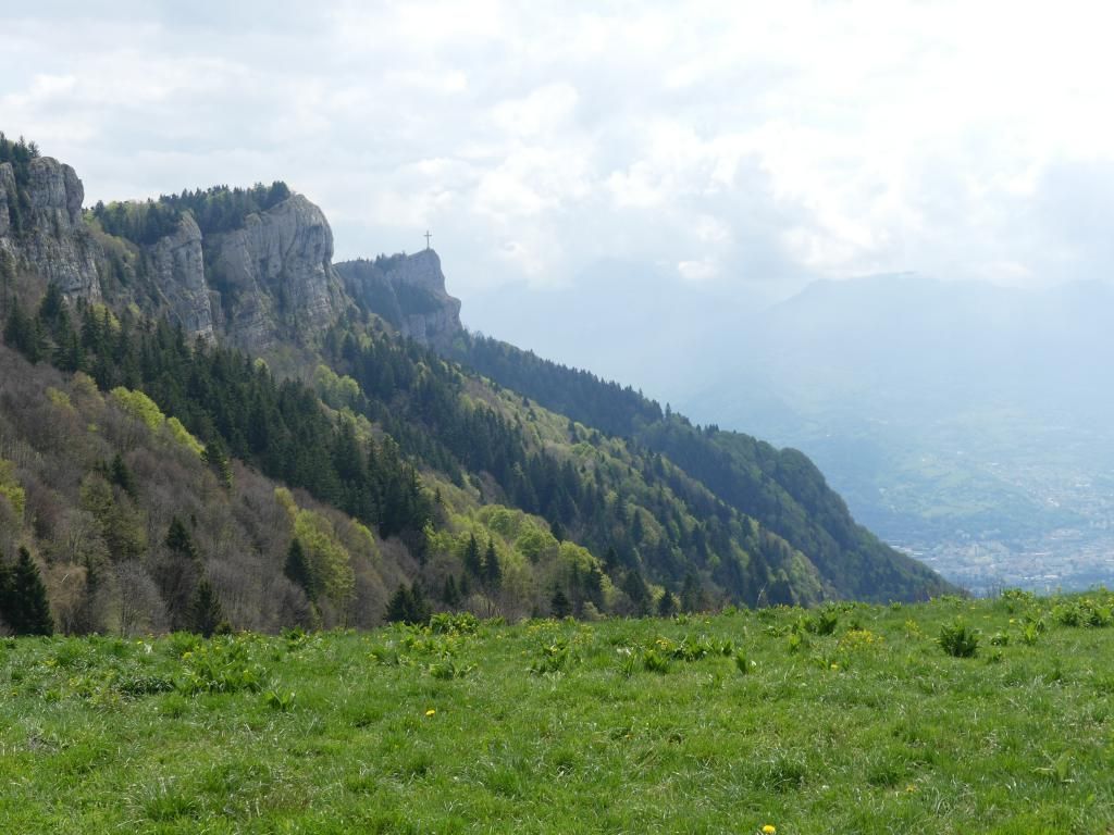 P1320596