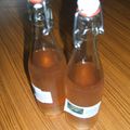 SIROP DE RHUBARBE