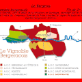 le vignoble du Sud-ouest