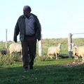 LE DÉMANTÈLEMENT > FILM DE SEBASTIEN PILOTE > avec Gabriel Arcand, Gilles Renaud, Lucie Laurier