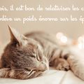 JUSTE UNE P'TITE CITATION...