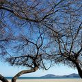 Argelès, une plage en hiver