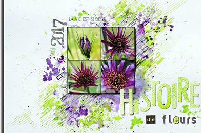 Histoire de fleurs