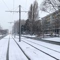 La neige recouvre l'Avenue Foch...