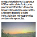 Coupes dans les forêts