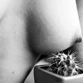 Lorsqu'on vit dans le désert, on finit par aimer le premier cactus qui pousse. M-S Roger