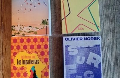 Les livres de poches se font collector pour Noël 2022l 