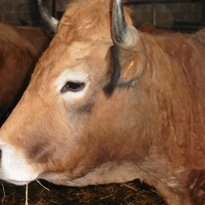 JE PARTICIPE, ça se passe comment ? 