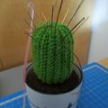 DIY, cactus au crochet