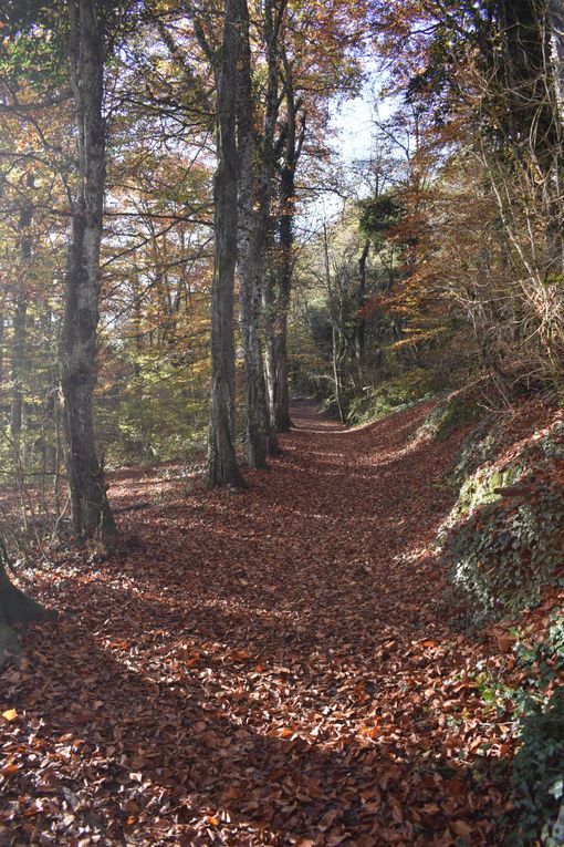 Randonnée matinale au &quot;Mont - Saint - Michel&quot; Savoyard