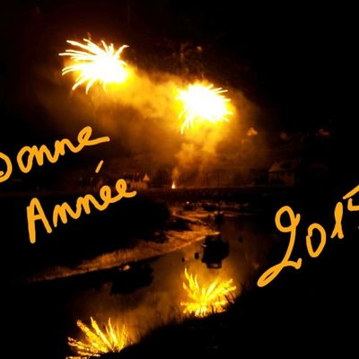 Bonne Année 2015