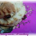 La mode des scones... cranberry scones