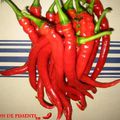 LA JOURNEE DU PIMENT