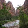 1.UTAH: parc national de ZION