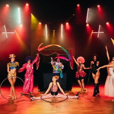 Un magicien dans un grand spectacle cabaret à BAIS