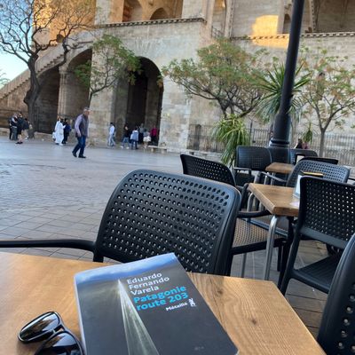 2023 : 10 avril : "Patagonie route 203", d'Eduardo Fernando Varela.