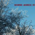 BONNE ANNEE 2015