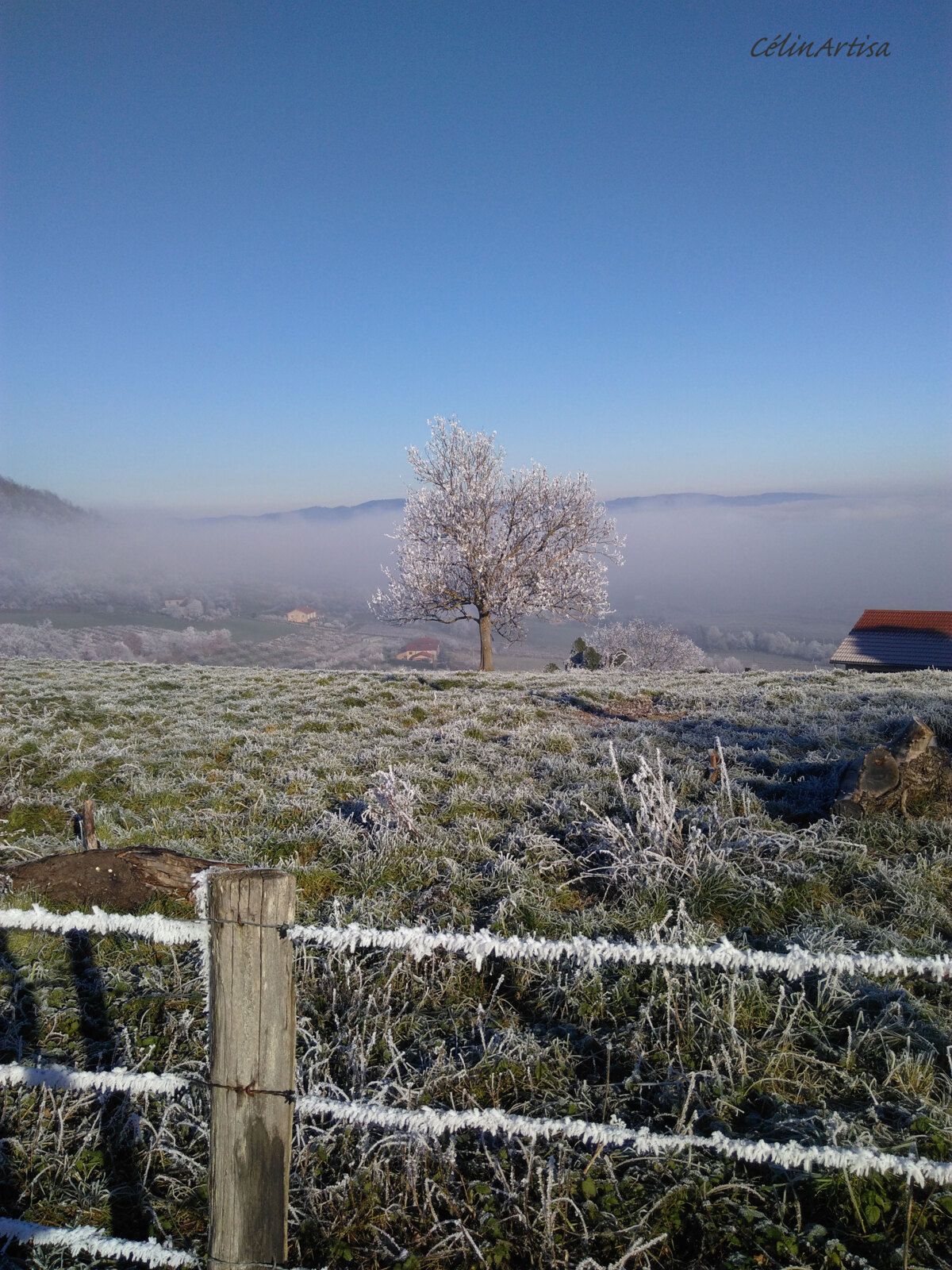 paysage givré (photo CF)