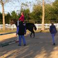 au centre equestre de la MALBRANDE : les sables d olonne