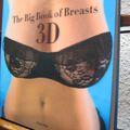 THE BIG BOOK OF BREASTS 3D // Dian Hanson