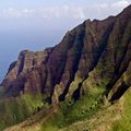 HAWAII (ETATS-UNIS) - Le drone et l'hibiscus