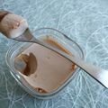 yaourts maison diététiques au chocolat au lait et à la stévia (sans sucre)
