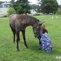 petit tour au pré avec les filles