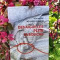 Des aiguilles plein la bouche Véronique Willmann Rulleau Éditions Signes et Balises