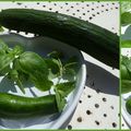 Gaspacho concombre, menthe et basilic