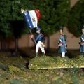 Napoleonic Wars - France