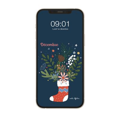 Fonds d'écran du mois de décembre / December screen wallpapers