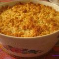 CRUMBLE DE COURGETTES