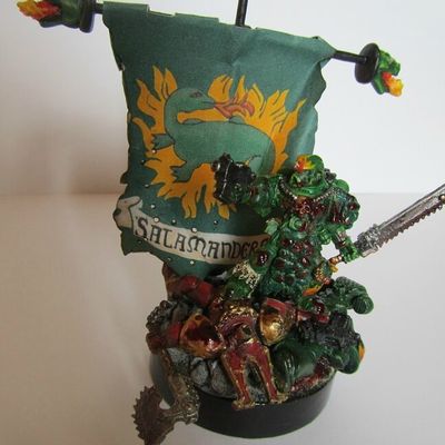 Vétéran Salamanders